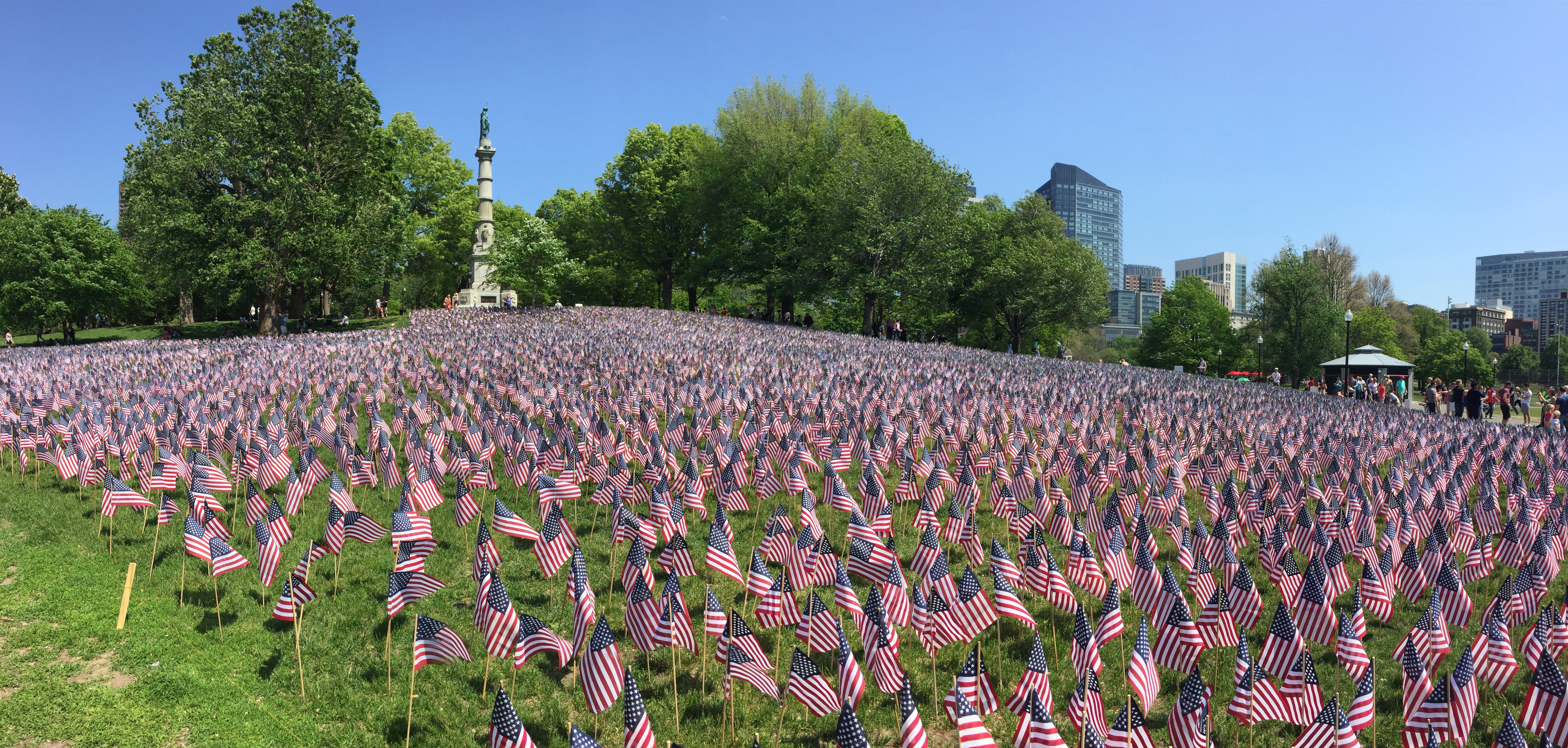 Detail Flora Di Amerika Serikat Nomer 33