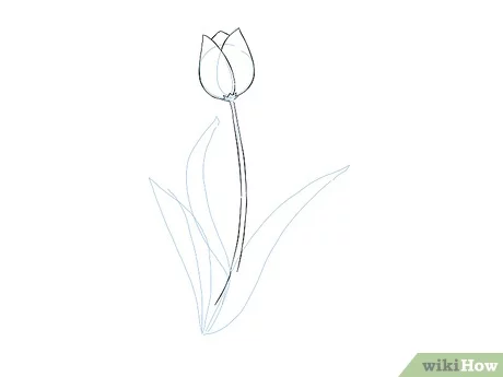 Detail Flora Yang Mudah Digambar Nomer 12