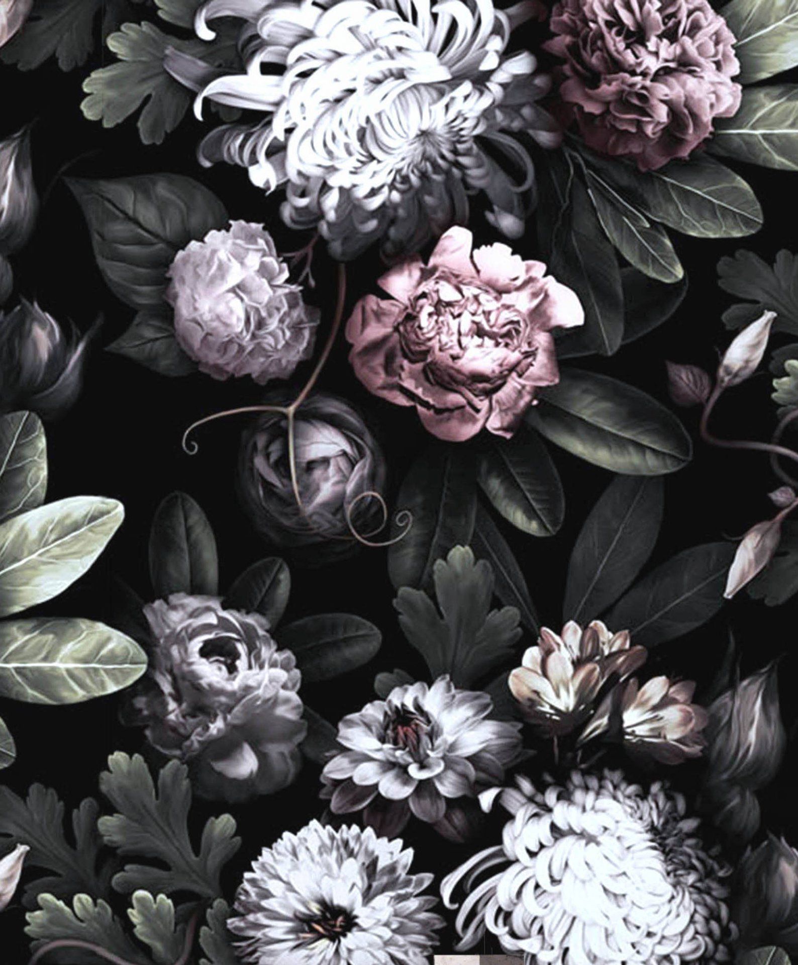 Detail Floral Background Black Nomer 8