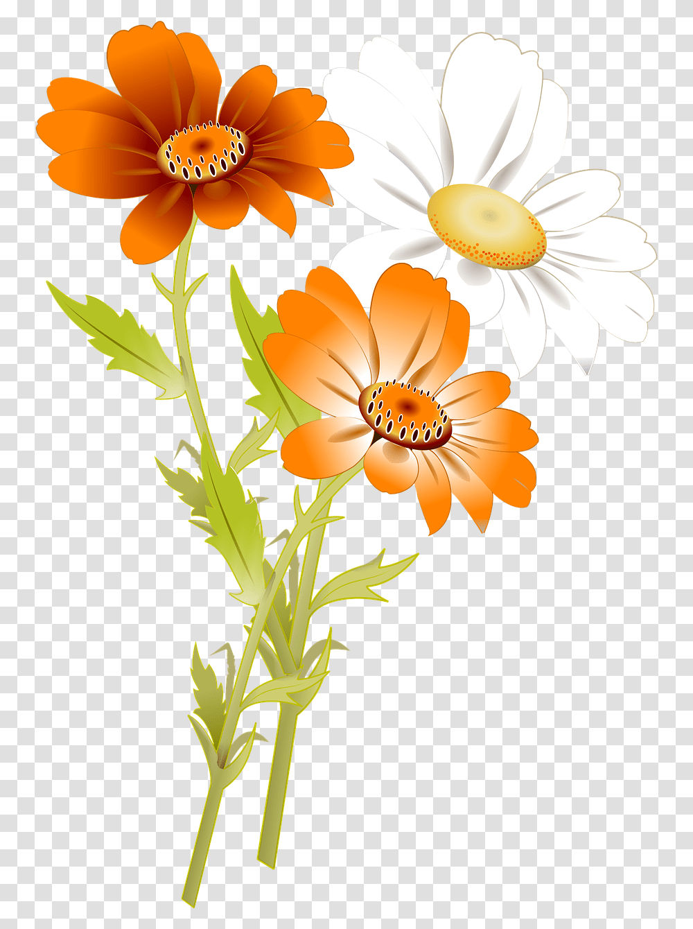Detail Floral Design Transparent Background Nomer 42