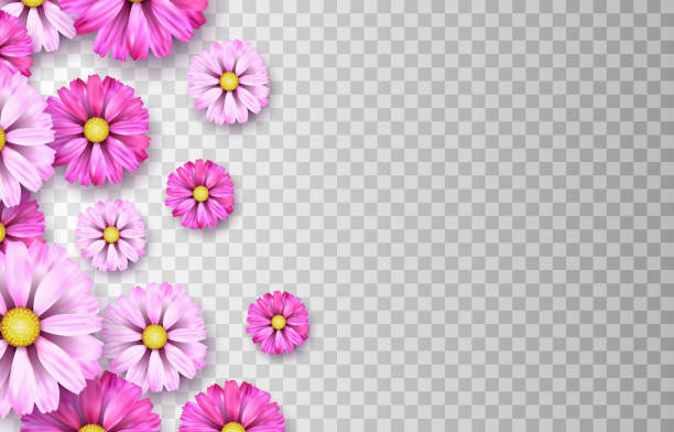 Detail Floral Flowers Png Nomer 19