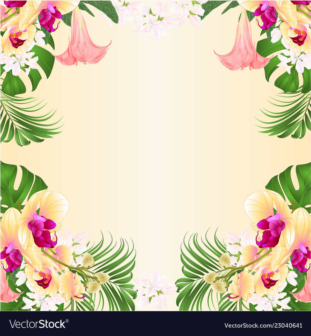 Detail Floral Frame Background Nomer 16