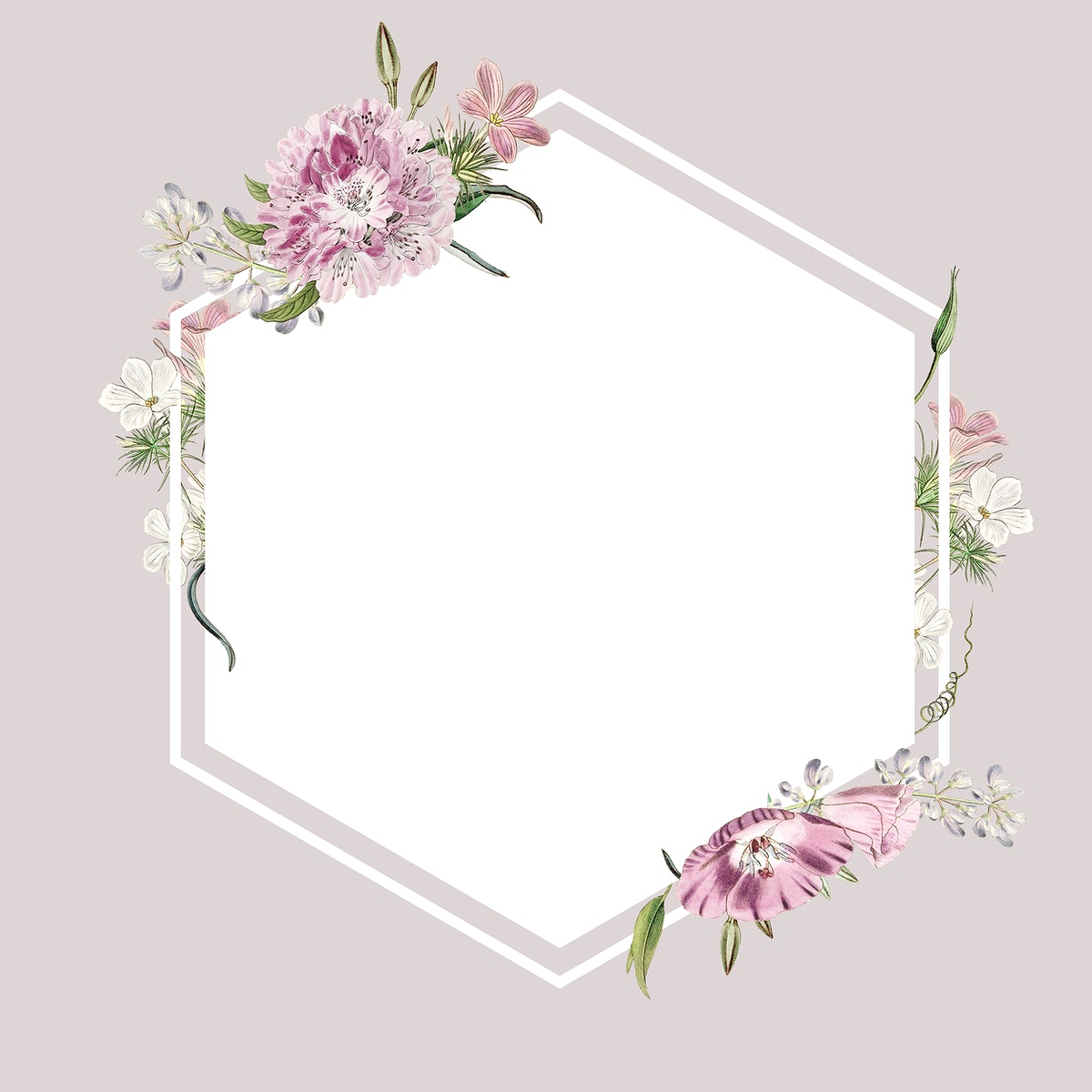 Detail Floral Frame Background Nomer 20