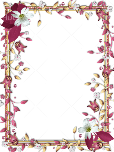 Detail Floral Frame Png Hd Nomer 43