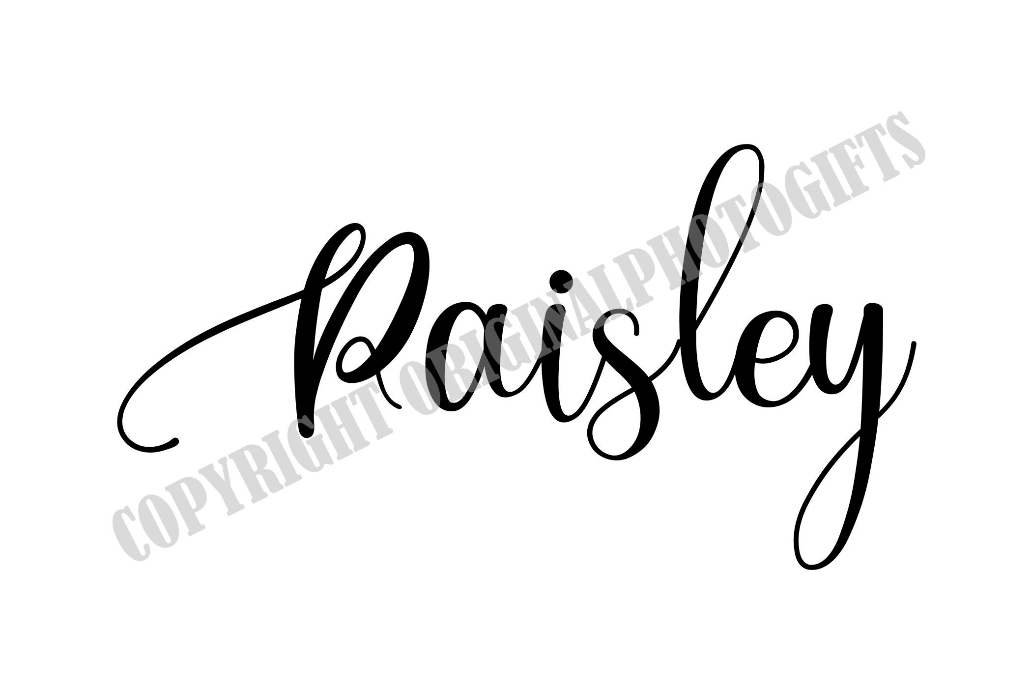 Detail Paisley Font Nomer 14