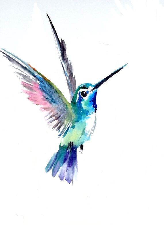 Aquarell Kolibri - KibrisPDR