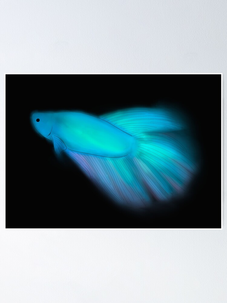 Detail Betta Splendens Blau Nomer 14