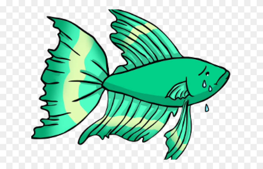 Detail Betta Splendens Blau Nomer 15