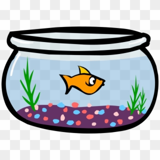 Detail Betta Splendens Blau Nomer 23