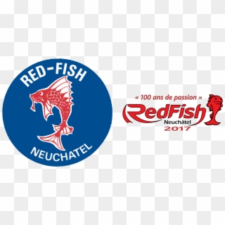 Detail Betta Splendens Blau Nomer 27