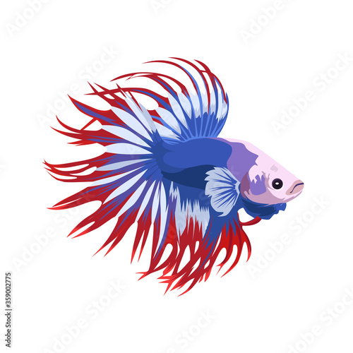 Detail Betta Splendens Blau Nomer 5