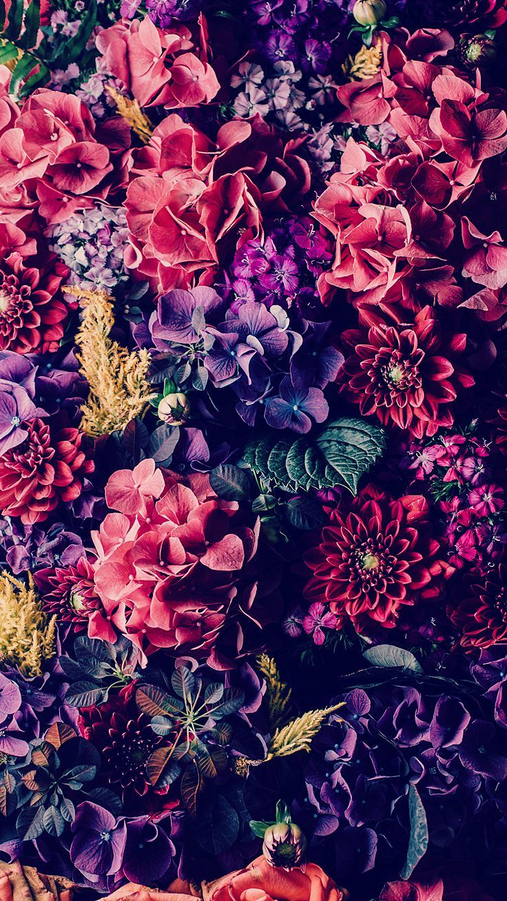 Detail Floral Iphone Wallpaper Nomer 3