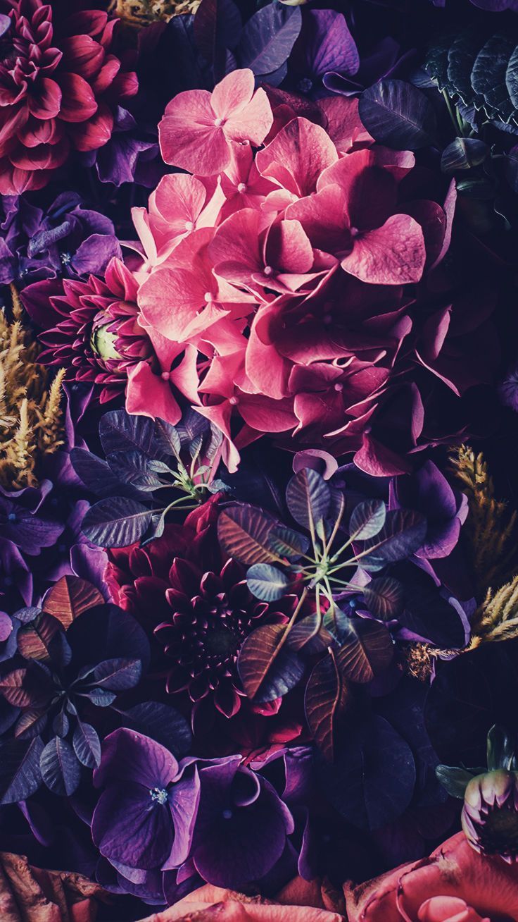 Detail Floral Iphone Wallpaper Nomer 39