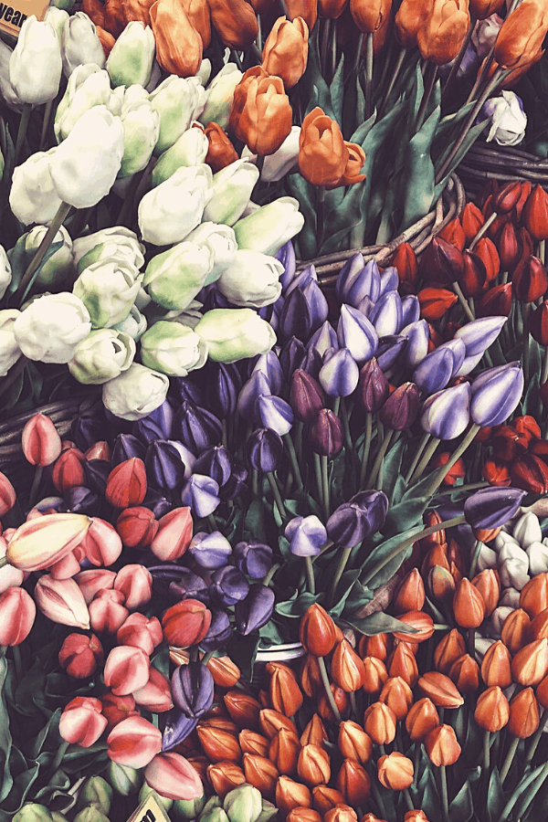 Detail Floral Iphone Wallpaper Nomer 42