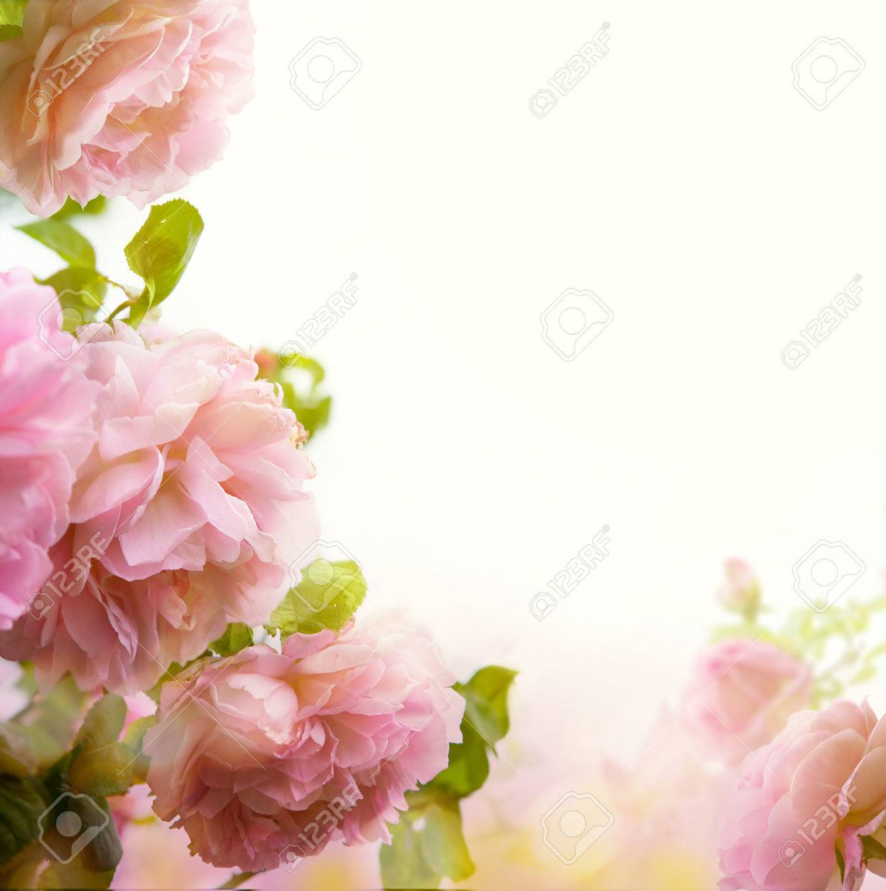 Detail Floral Pastel Background Nomer 57