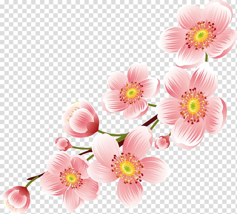 Detail Floral Transparent Background Nomer 39