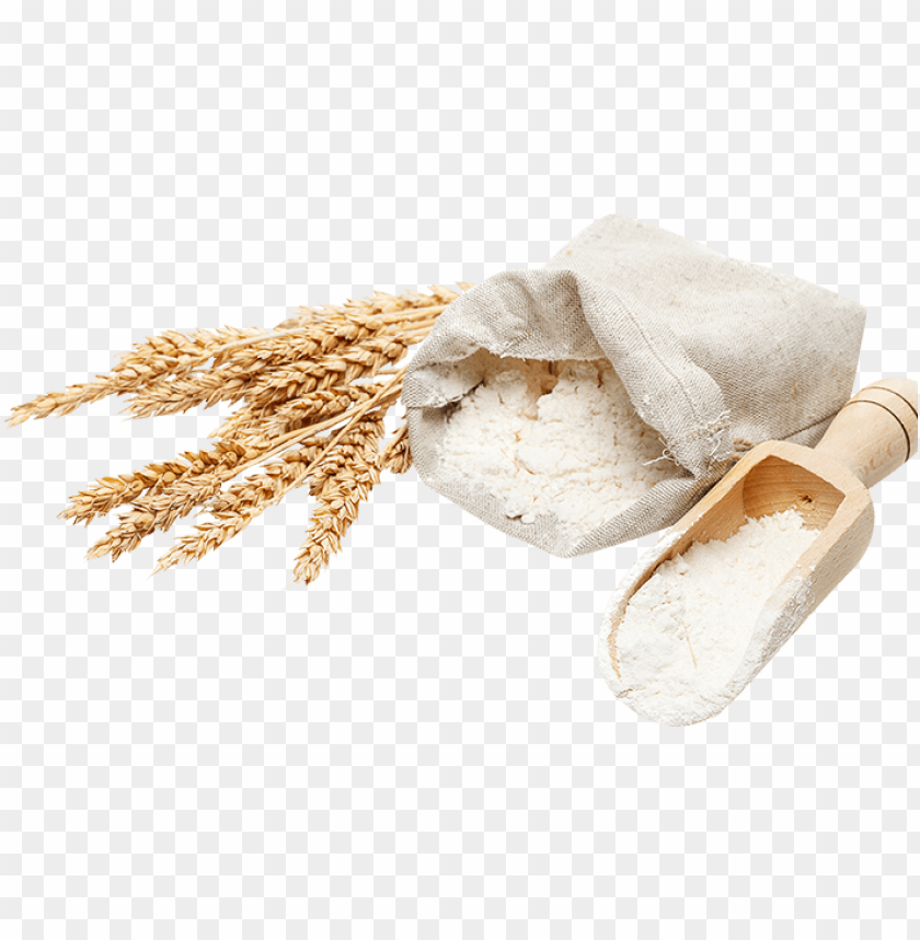 Detail Flour Transparent Background Nomer 33