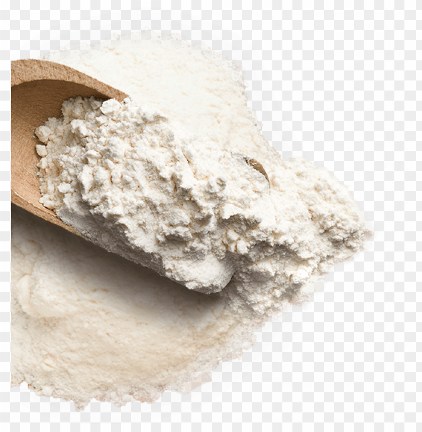 Detail Flour Transparent Background Nomer 9