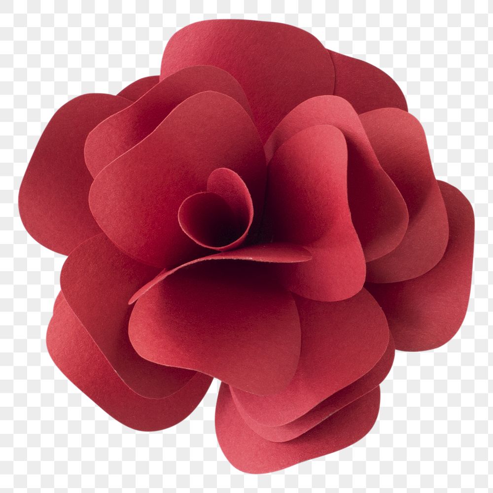 Detail Flower 3d Png Nomer 13