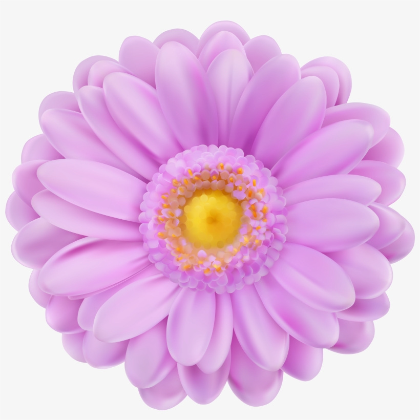 Detail Flower 3d Png Nomer 20