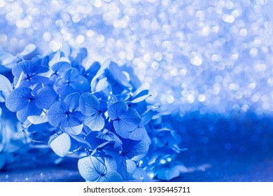 Detail Flower Background Blue Nomer 13