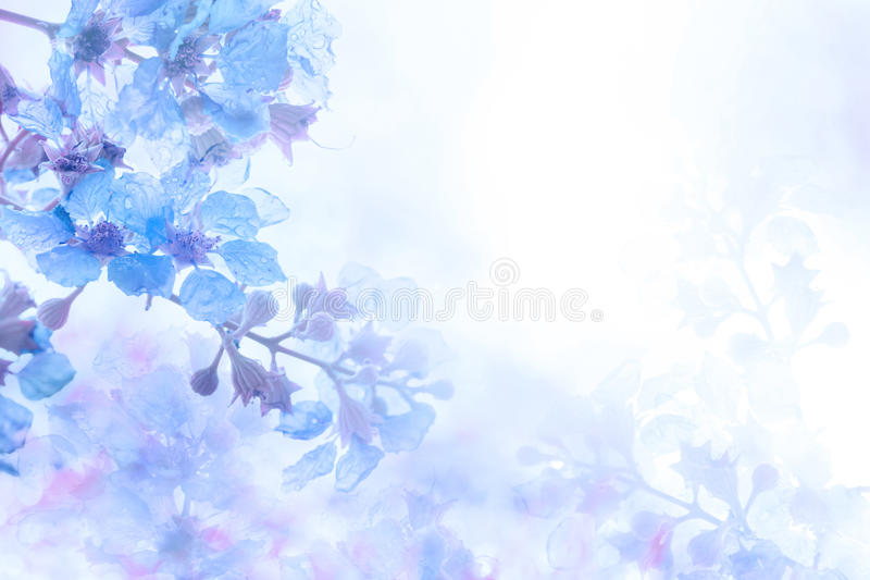 Detail Flower Background Blue Nomer 18