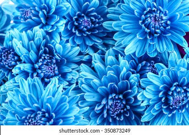 Detail Flower Background Blue Nomer 22