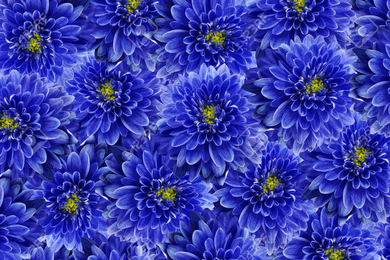 Detail Flower Background Blue Nomer 34