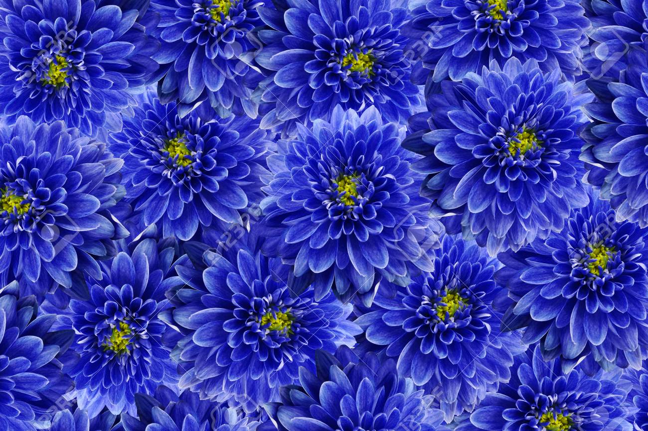 Detail Flower Background Blue Nomer 34