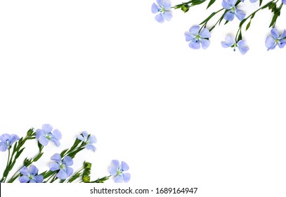 Detail Flower Background Blue Nomer 40