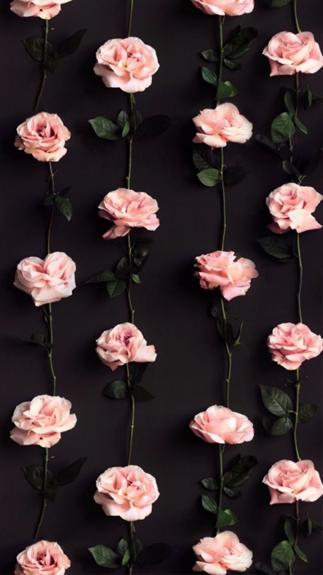 Detail Flower Background Pinterest Nomer 39