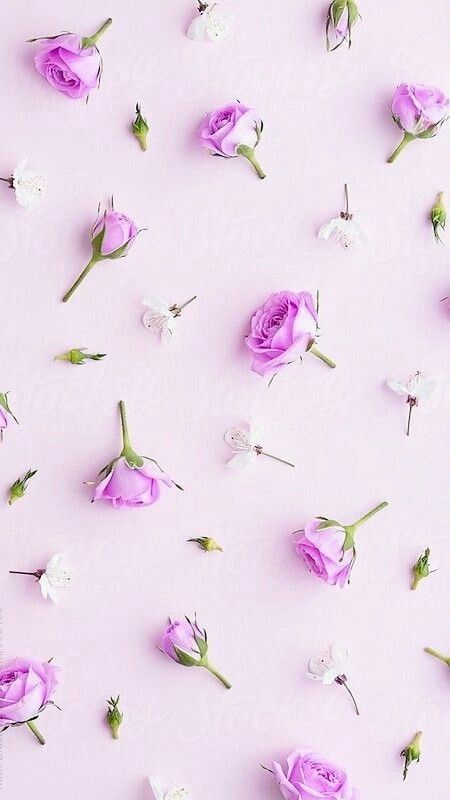 Detail Flower Background Pinterest Nomer 5