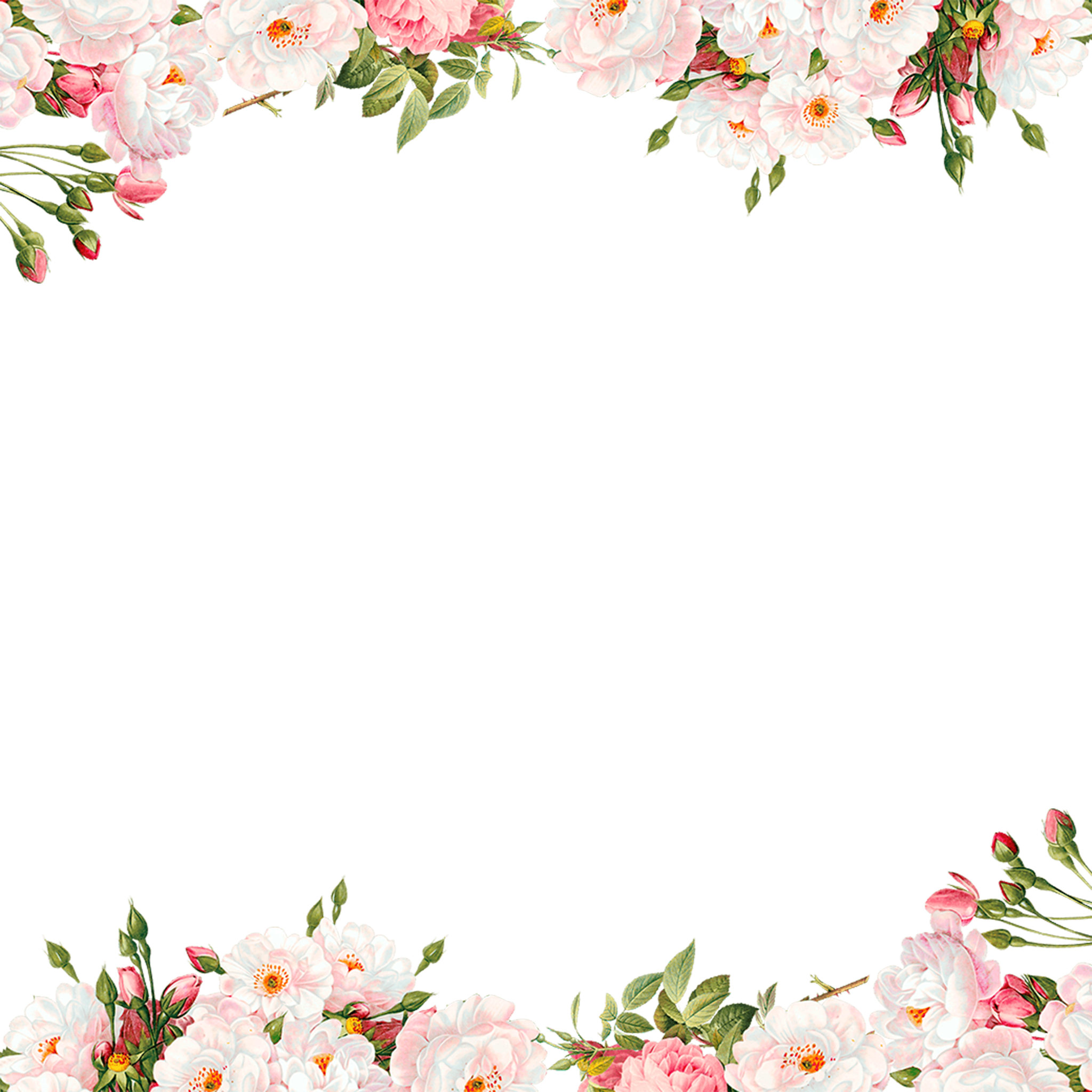 Detail Flower Background Png Images Nomer 3