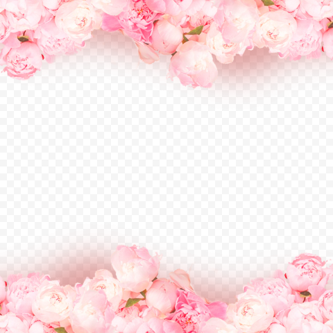 Detail Flower Background Png Images Nomer 25