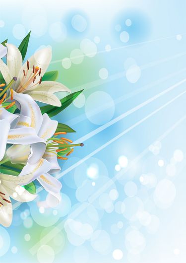 Detail Flower Background Png Images Nomer 28