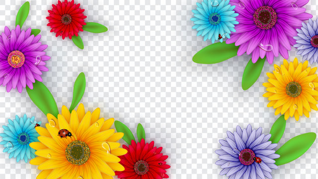 Detail Flower Background Png Images Nomer 32