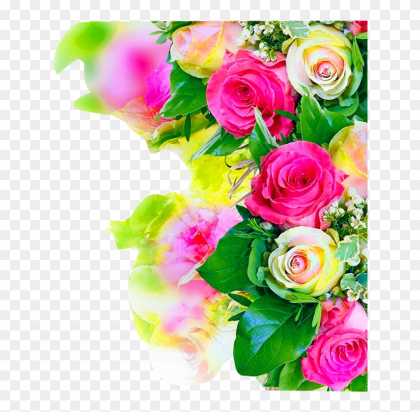 Detail Flower Background Png Images Nomer 34