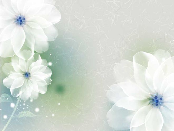 Detail Flower Background Ppt Nomer 20