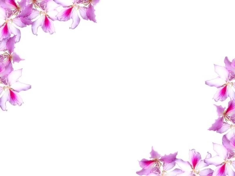 Detail Flower Background Ppt Nomer 24