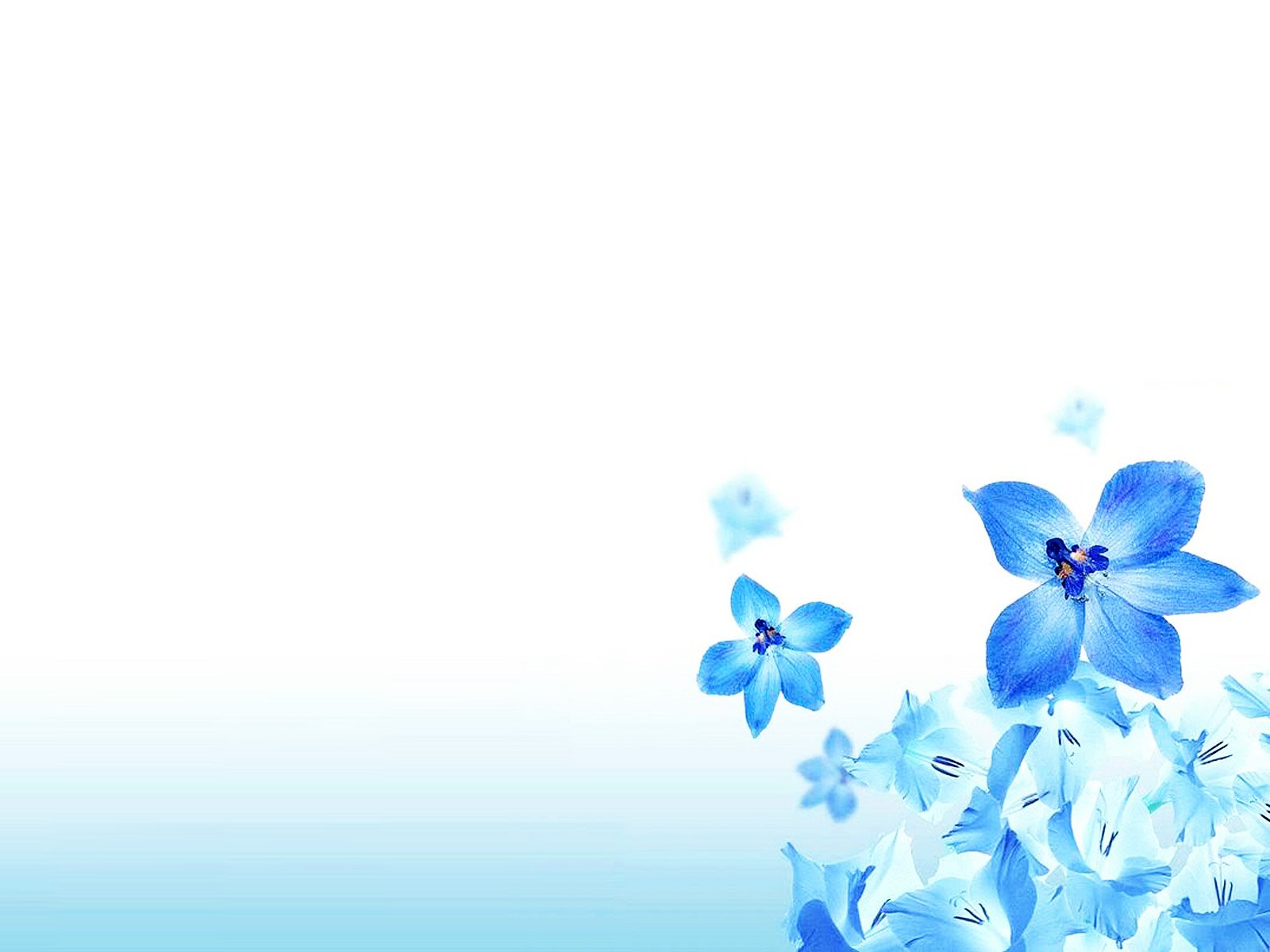 Detail Flower Background Ppt Nomer 27