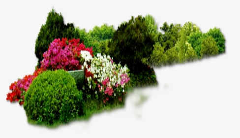 Detail Flower Bed Png Nomer 24