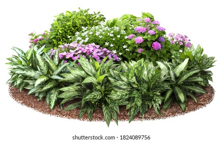 Detail Flower Bed Png Nomer 49