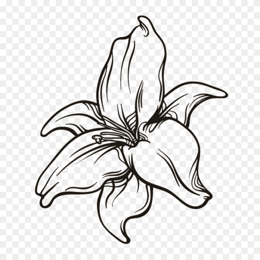 Detail Flower Black And White Png Nomer 51