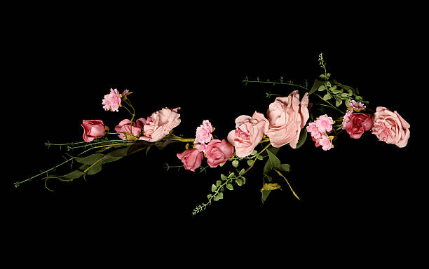 Detail Flower Black Background Nomer 21