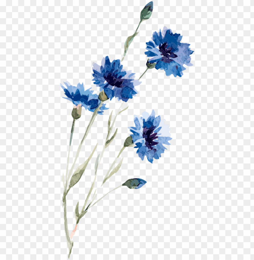 Detail Flower Blue Png Nomer 20