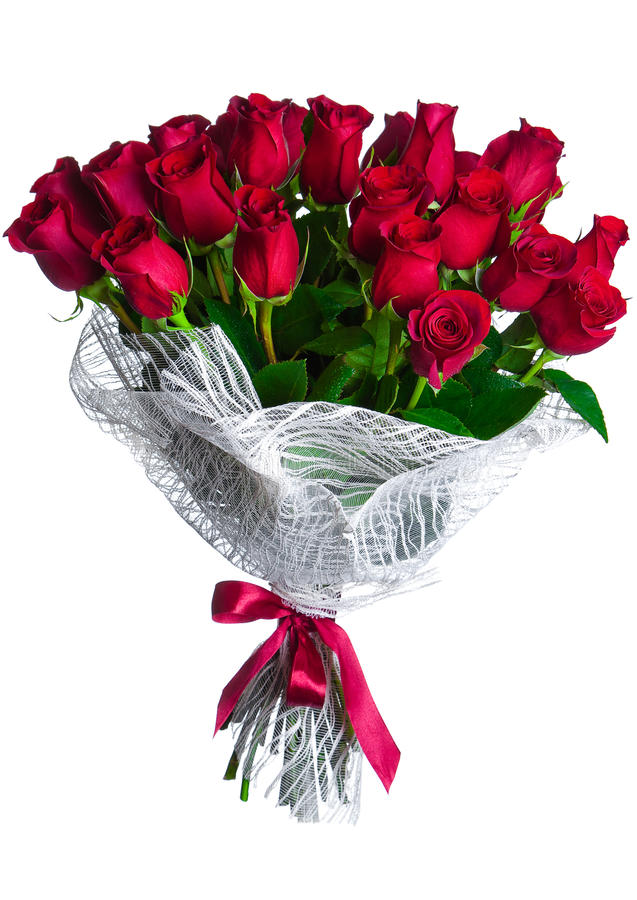 Flower Buke - KibrisPDR