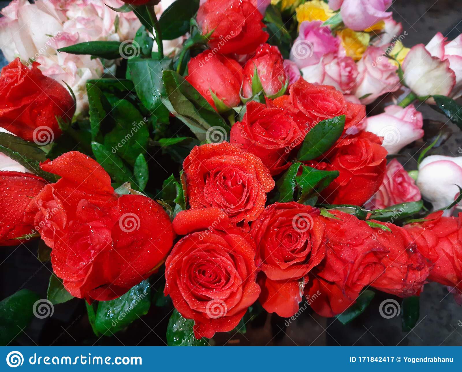 Detail Flower Buke Nomer 29