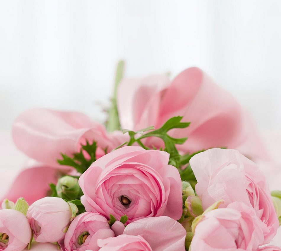 Detail Flower Bunga Nomer 4