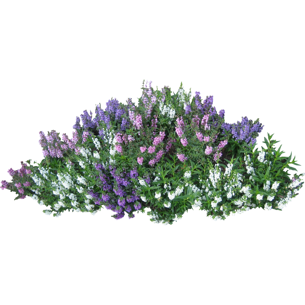 Detail Flower Bush Png Nomer 2