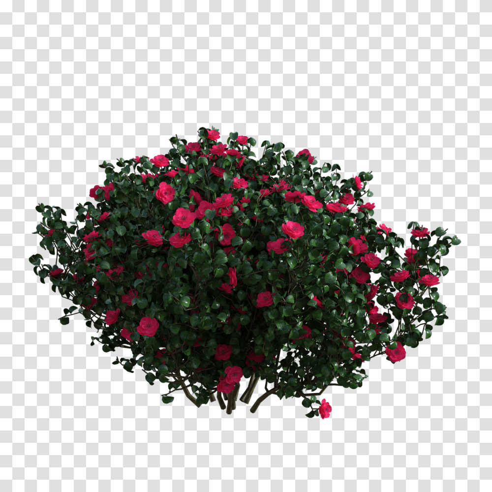 Detail Flower Bush Png Nomer 18